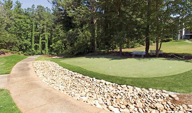 Indulgent Details mini golf green turf