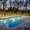 pool with lush landscaping and night-lighting